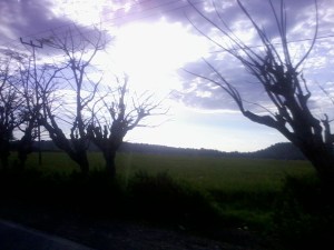 Perjalanan Ke Dili 02 Pemandangan Alam di Oesao