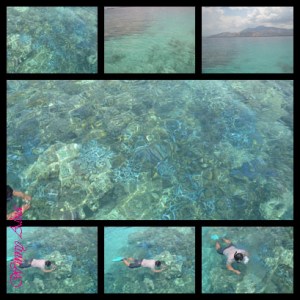 terumbu karang riung