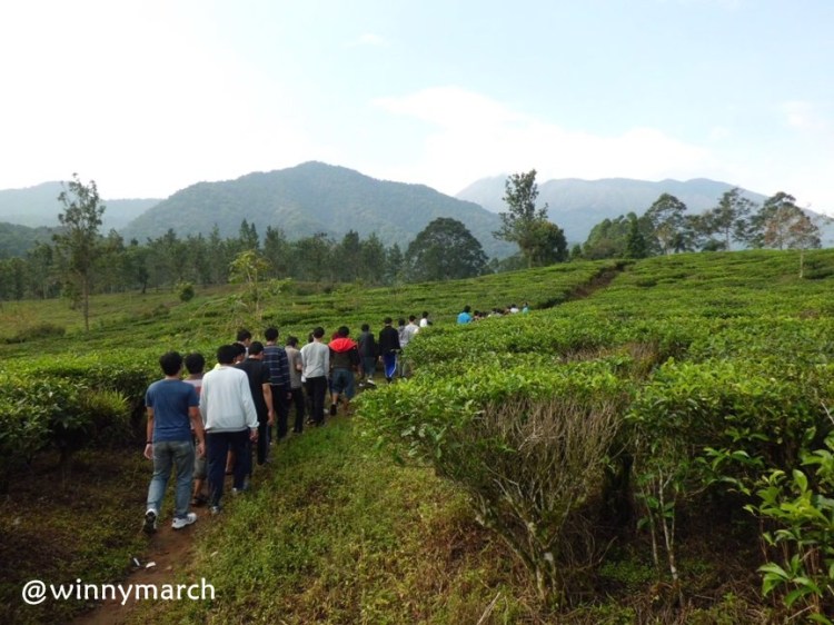 MT. Gama Group bersusun sejajar di Puncak Bogor