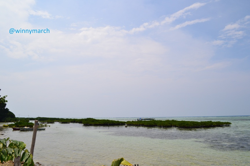 pulau pramuka-kepulauan seribu