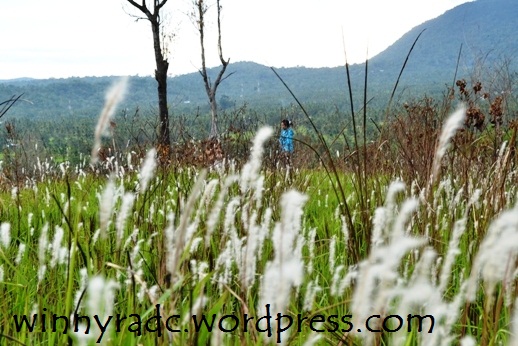 Gunung Simarsayang Padangsidempuan