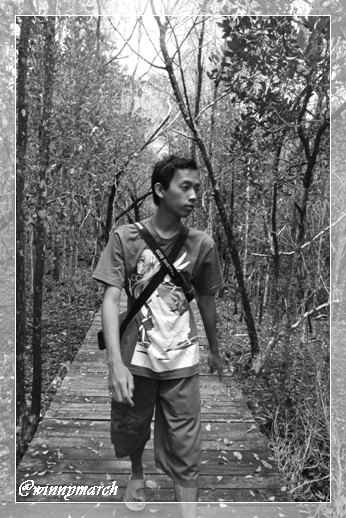Sigit di Hutan Mangrove