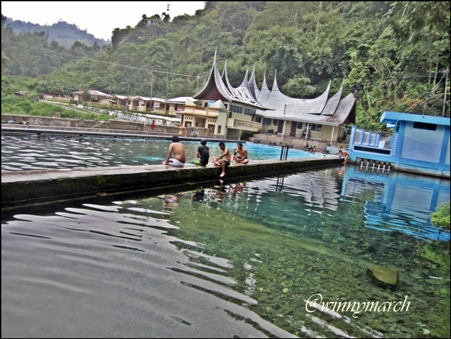 mata air kucing padang panjang