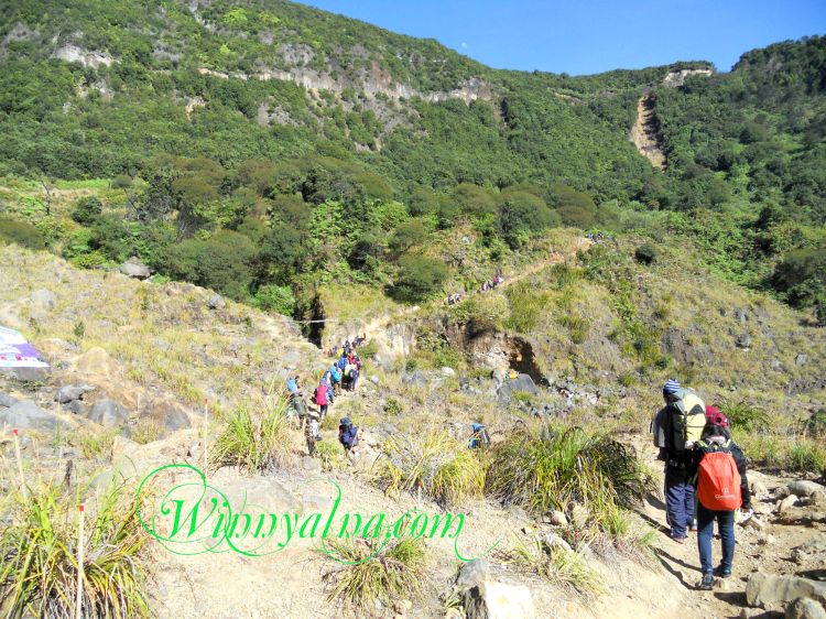 mendaki gunung papandayan