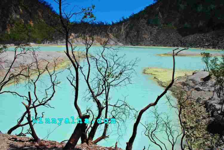 kawah putih ciwidey