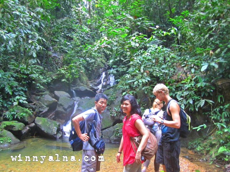 Air terjun di Taman Nasional Taman Lauser