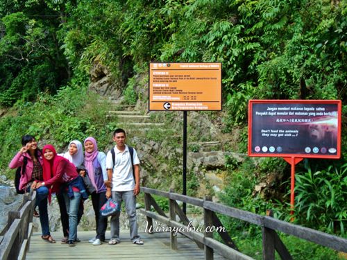 Bukit Lawang