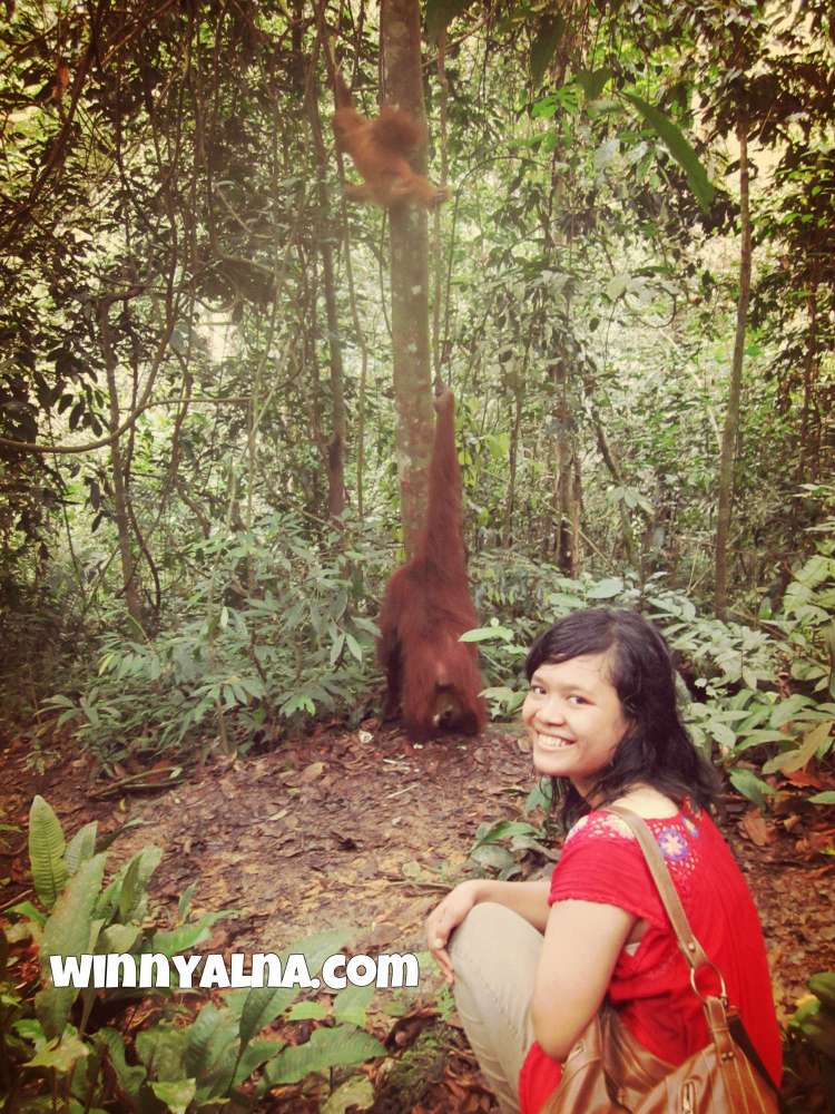 Aku di depan orang utan