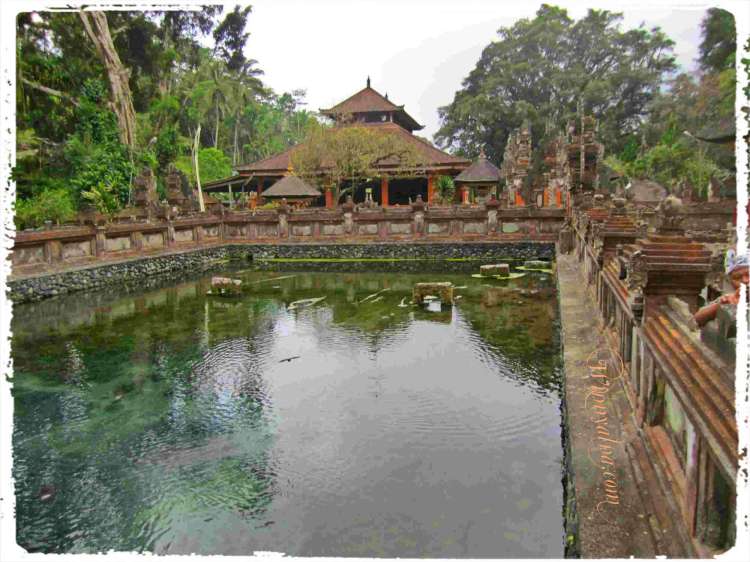 tampak siring