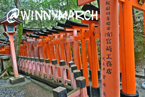 Beribu Tori di Fushimi Inari
