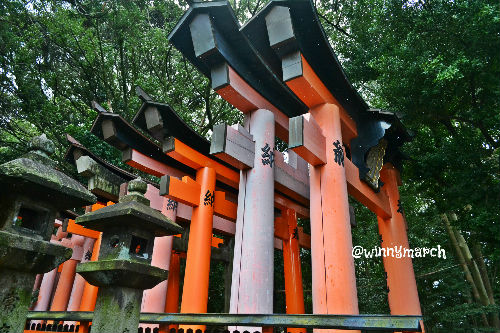 snow in fushimi inari