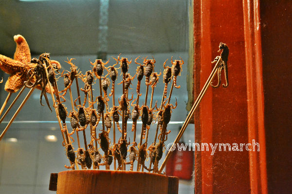 Culinary ektrim in wangfujing street