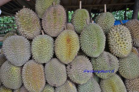 Durian