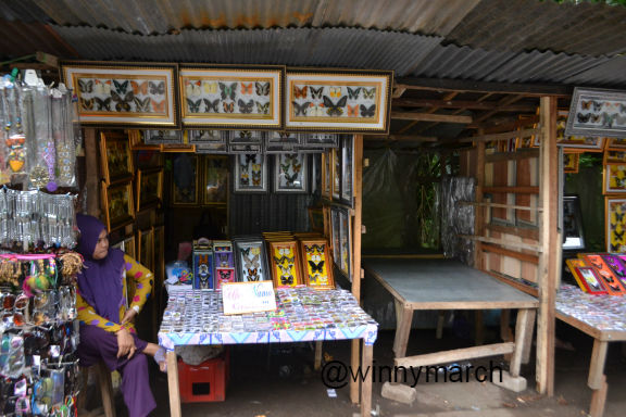 souvenir bantimurung