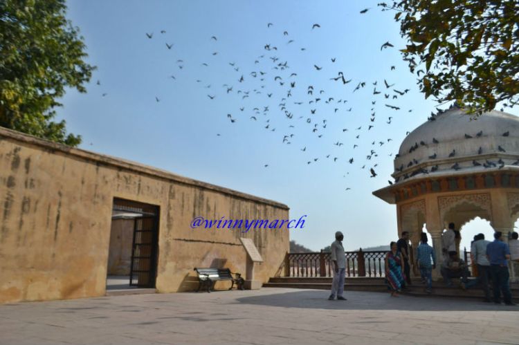 Ambert Fort Rajashtan