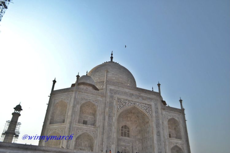 Seven Wonder of the world