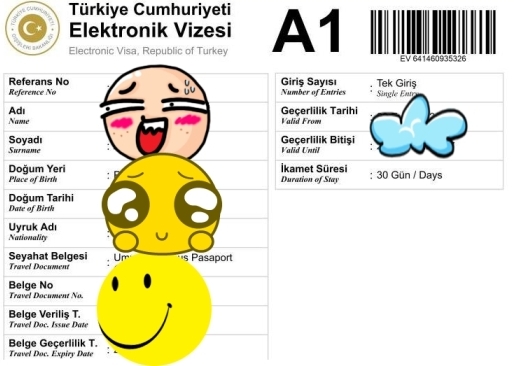 E-Visa Turki