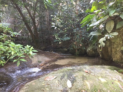 Ampang falls upper section